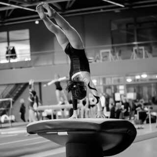 https://www.woga.net/wp-content/uploads/2025/10/fall-meet-1-320x320.jpg